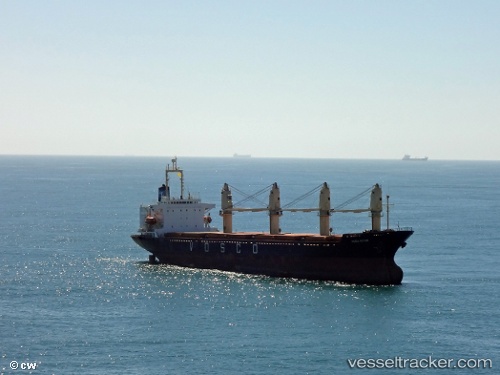 vessel Vega Star IMO: 9061588, Bulk Carrier
