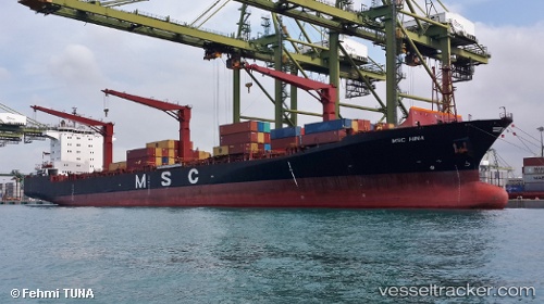 vessel Msc Hina IMO: 9062984, Container Ship
