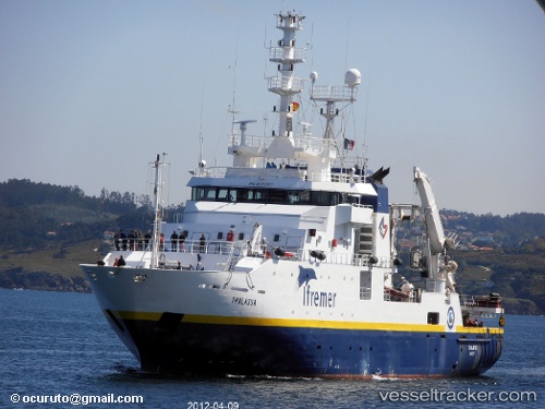vessel Thalassa IMO: 9070307, Fishing Support Vessel
