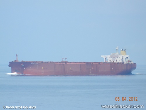 vessel Pacific Garnet IMO: 9075723, Ore Carrier
