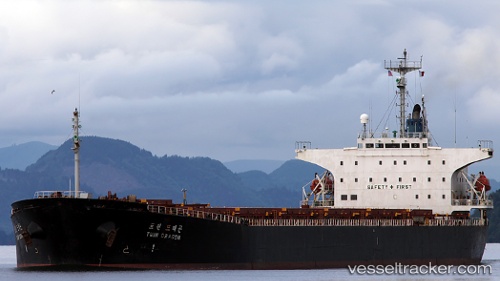 vessel Twin Dragon IMO: 9087740, Bulk Carrier
