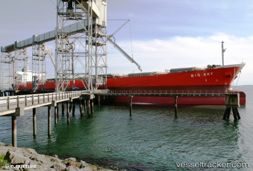 vessel Guo Dian 20 IMO: 9087752, Bulk Carrier
