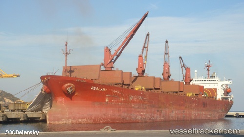 vessel Sea Meray IMO: 9104421, Bulk Carrier
