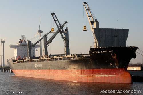 vessel Pine Arrow IMO: 9107306, Multi Purpose Carrier
