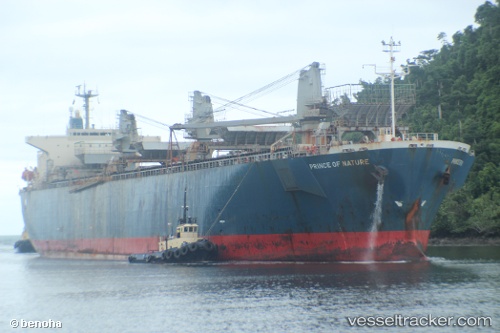 vessel Futong Express IMO: 9111589, Wood Chips Carrier
