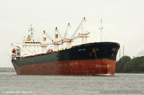 vessel Best Future IMO: 9111931, Bulk Carrier
