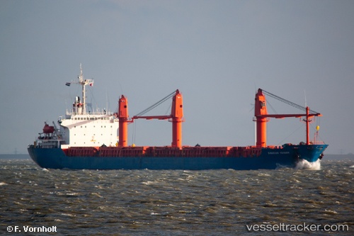 vessel GOLDEN ID IMO: 9113381, General Cargo Ship