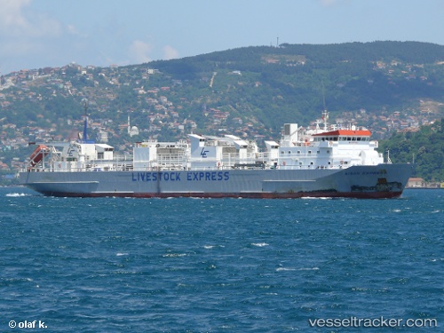 vessel Bison Exp Ress IMO: 9115949, Livestock Carrier
