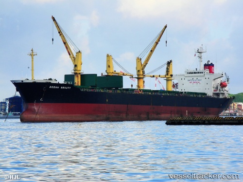 vessel Sea Saker IMO: 9118434, Bulk Carrier
