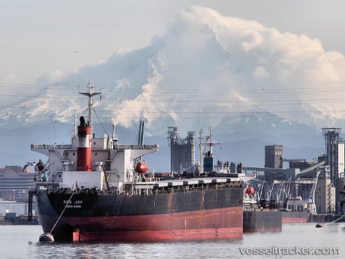 vessel Pole Star IMO: 9118848, Bulk Carrier
