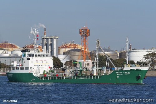 vessel Sulphur Tripper IMO: 9118989, Chemical Tanker
