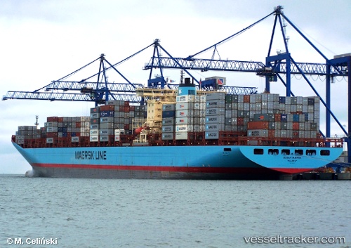 vessel MSC FIE IMO: 9120853, Container Ship