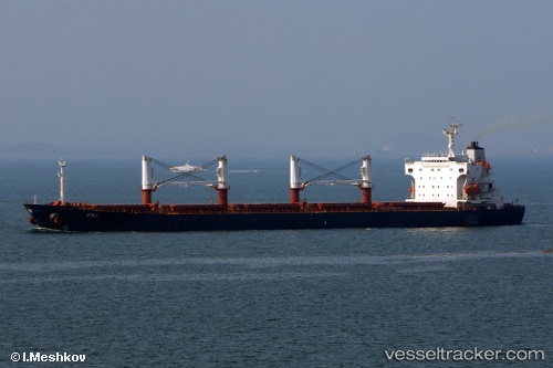 vessel Opal Fortune IMO: 9131034, Bulk Carrier
