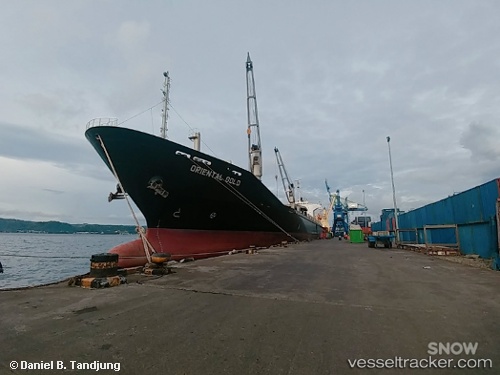 vessel Mv.oriental Gold IMO: 9136591, Container Ship
