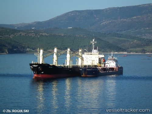 vessel RUKIA IMO: 9136929, Bulk Carrier