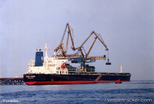 vessel XIN RUN IMO: 9137636, Bulk Carrier
