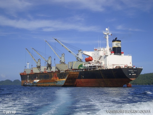 vessel Hong Kai IMO: 9139995, Bulk Carrier
