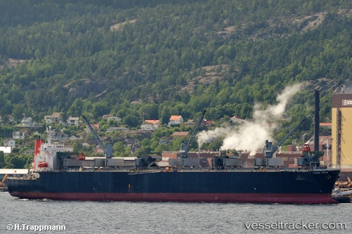 vessel Alizay 1 IMO: 9140566, Wood Chips Carrier
