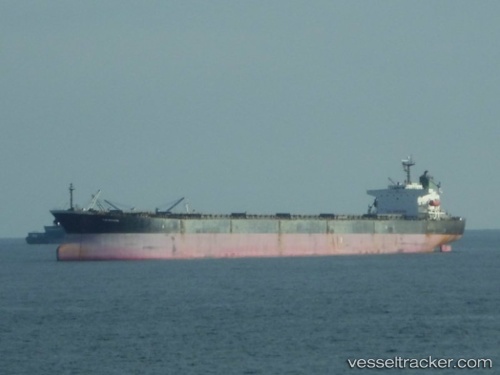 vessel The Merciful IMO: 9140578, Bulk Carrier
