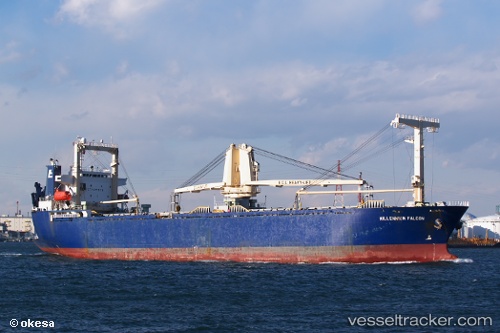 vessel Millennium Leader IMO: 9141211, General Cargo Ship

