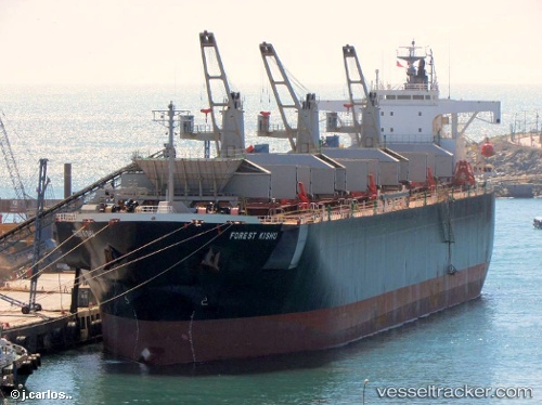 vessel Fp Proteios IMO: 9142019, Wood Chips Carrier
