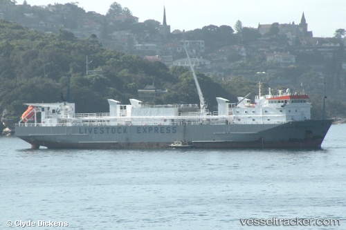 vessel Devon Express IMO: 9142590, Livestock Carrier
