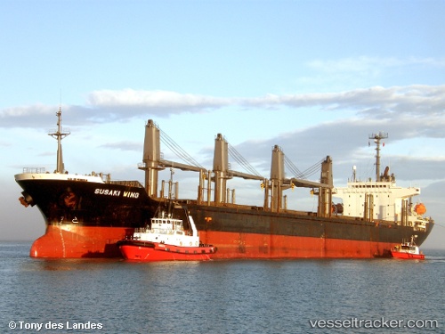 vessel Rays IMO: 9142954, Bulk Carrier
