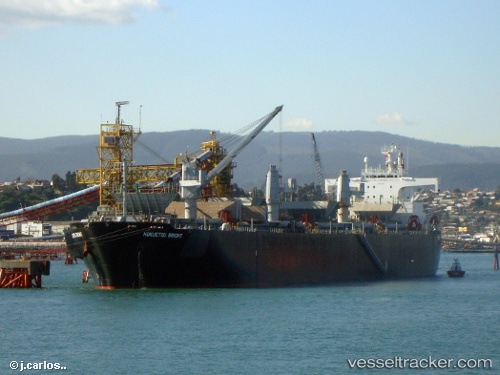 vessel Princess Bright IMO: 9145035, Wood Chips Carrier
