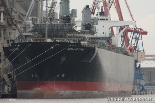 vessel Hao Hung 66 IMO: 9145671, Wood Chips Carrier
