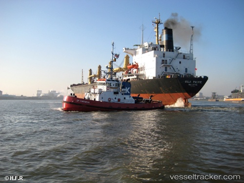 vessel En Ocean IMO: 9147758, Bulk Carrier
