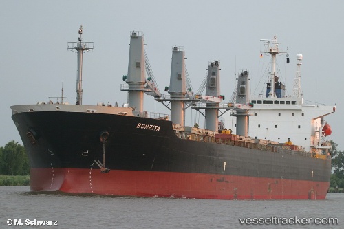 vessel Region 87 IMO: 9150808, Bulk Carrier

