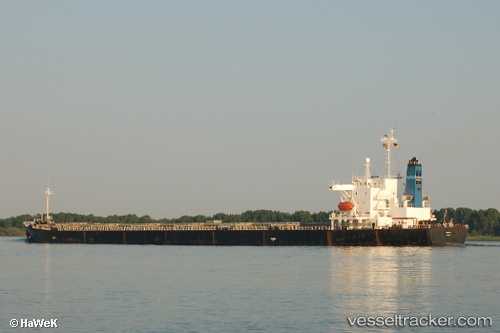 vessel Yue Dian 8 IMO: 9154098, Bulk Carrier
