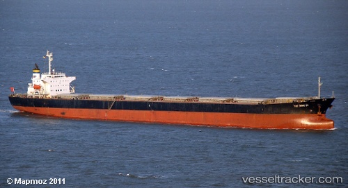 vessel Yue Dian 81 IMO: 9161041, Bulk Carrier
