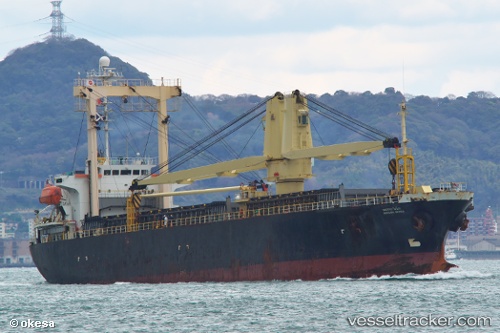vessel Capt khaldoun IMO: 9161845, General Cargo Ship
