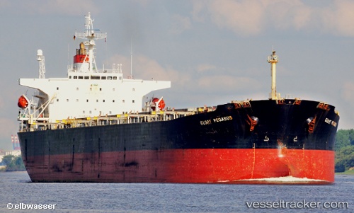 vessel GLORIA 1 IMO: 9164445, Bulk Carrier