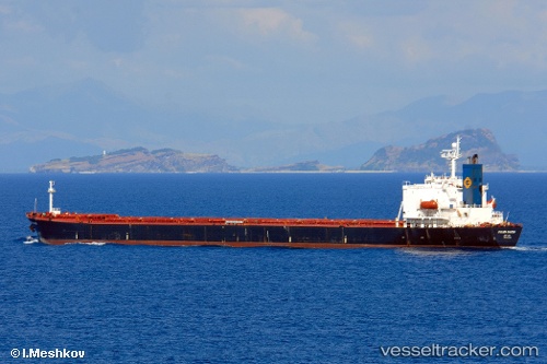 vessel Den Sha IMO: 9164615, Bulk Carrier

