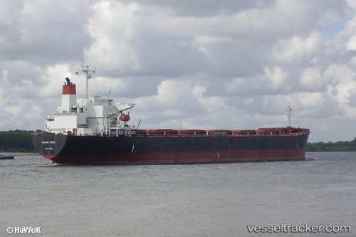 vessel The Able IMO: 9165190, Bulk Carrier
