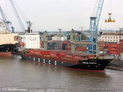 vessel Fortune Freighter IMO: 9168520, Container Ship
