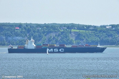 vessel Msc Mia Summer IMO: 9169067, Container Ship
