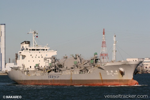 vessel 431017244 IMO: 9169445, 