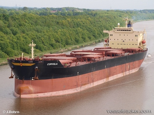 vessel HAINAN ISLAND IMO: 9176747, Bulk Carrier