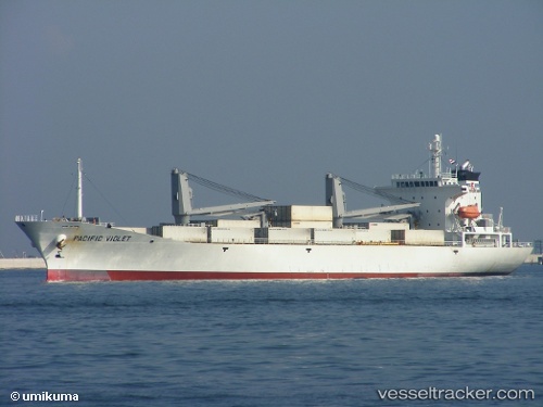 vessel Pacific Violet IMO: 9178654, Refrigerated Cargo Ship
