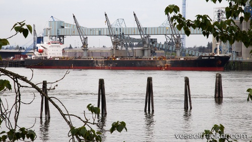 vessel Cheng Kai IMO: 9181039, Bulk Carrier
