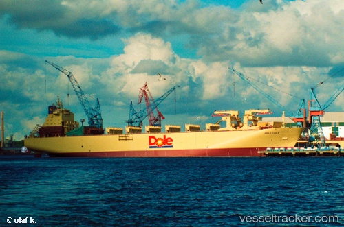 vessel Dole Chile IMO: 9185281, Container Ship
