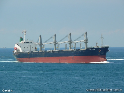 vessel Tanais Flyer IMO: 9186479, Bulk Carrier
