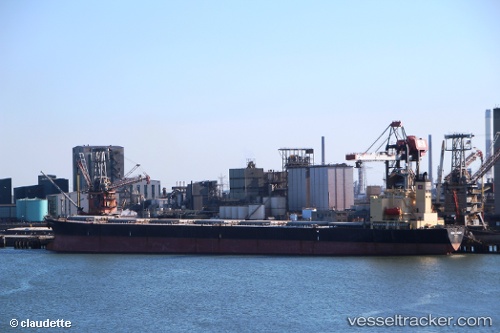 vessel Bulk Pangaea IMO: 9187722, Bulk Carrier
