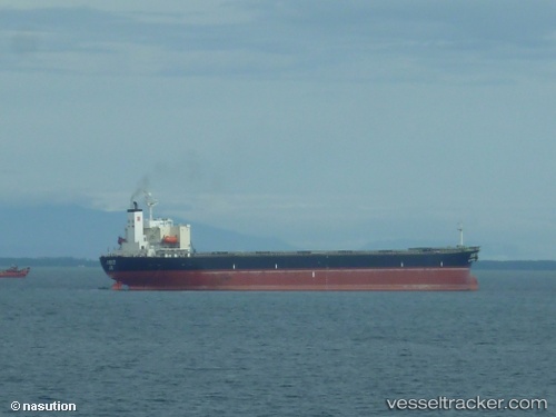 vessel Da Tang 2 Hao IMO: 9187734, Bulk Carrier
