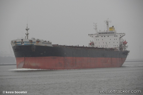 vessel Kg Asia IMO: 9190377, Bulk Carrier

