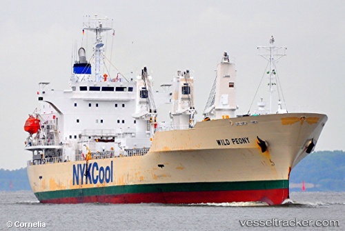vessel Wild Peony IMO: 9191474, Refrigerated Cargo Ship
