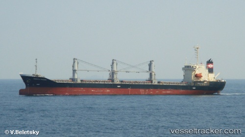 vessel Bmc Carol IMO: 9194440, Bulk Carrier
